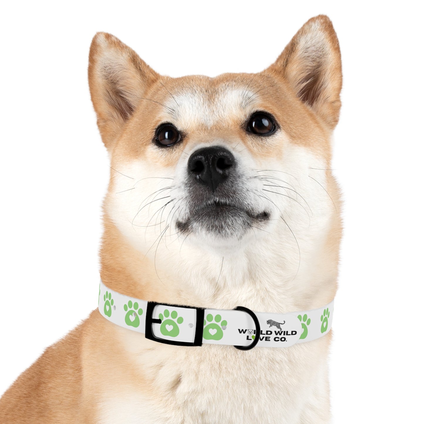 WWL Dog Collar with Paw Print Design | Cute Pet Accessory