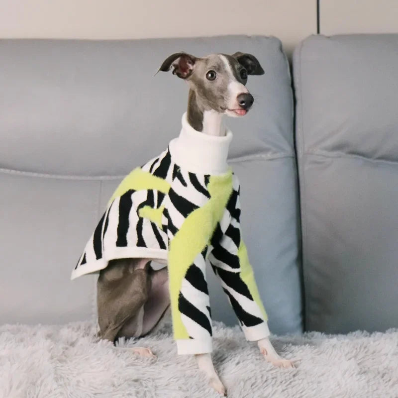 Autumn and Winter Turtleneck Pet Sweater