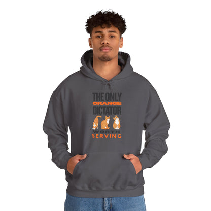 Politics & Cats Unisex Hoodie | Funny Novelty Hoodie that Supports Animal Welfare