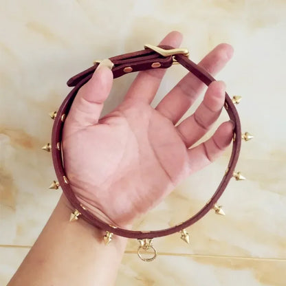 Handmade Cowhide Studded Pet Collar