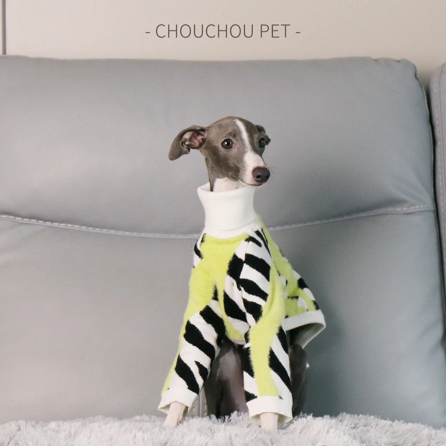 Autumn and Winter Turtleneck Pet Sweater